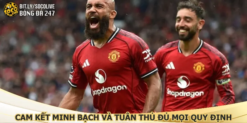 cam-ket-minh-bach-va-tuan-thu-du-moi-quy-dinh
