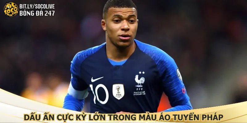 dau-an-cuc-ky-lon-trong-mau-ao-tuyen-phap