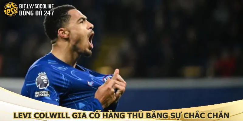 levi-colwill-gia-co-hang-thu-bang-su-chac-chan