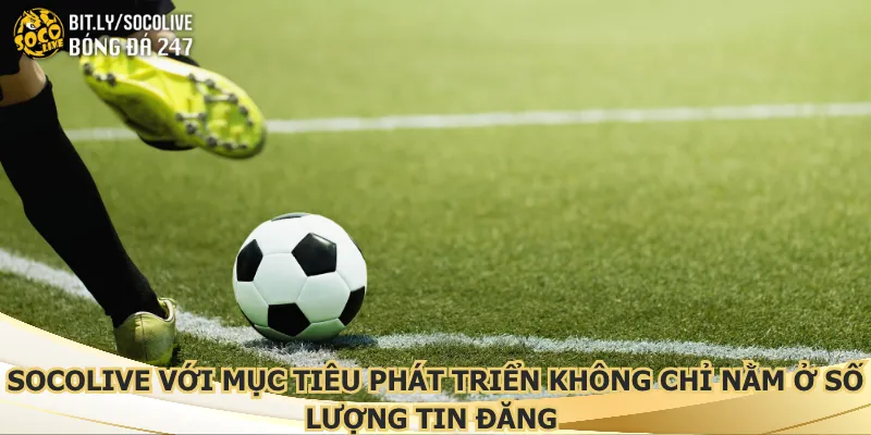socolive-voi-muc-tieu-phat-trien-khong-chi-nam-o-so-luong-tin-dang