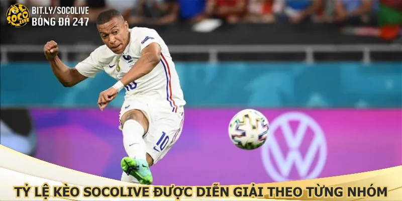 ty-le-keo-socolive-duoc-dien-giai-theo-tung-nhom